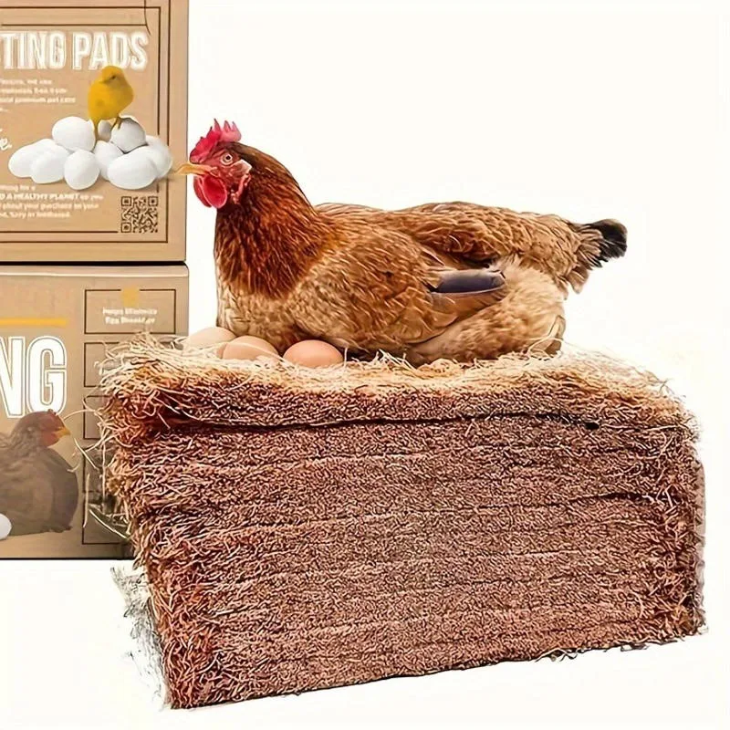 Thumbnail 4 - #33 Cheap Bird Supplies Worth Buying