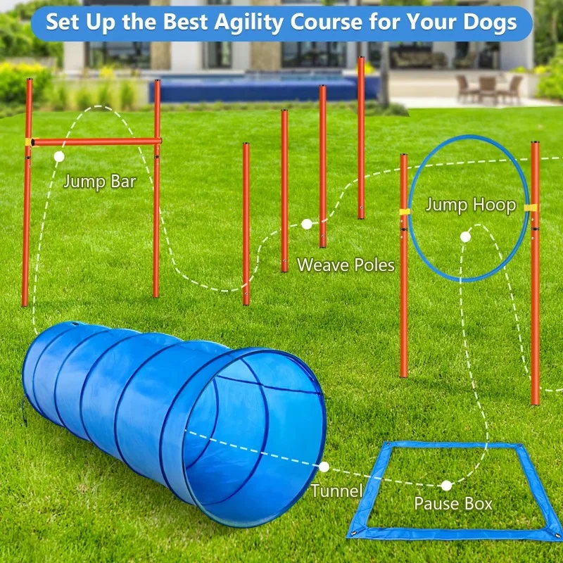 ZA001 Outdoor Pet Training Equipment Custom Weight Dog Agility Training Including Backyard Tunnel Jump