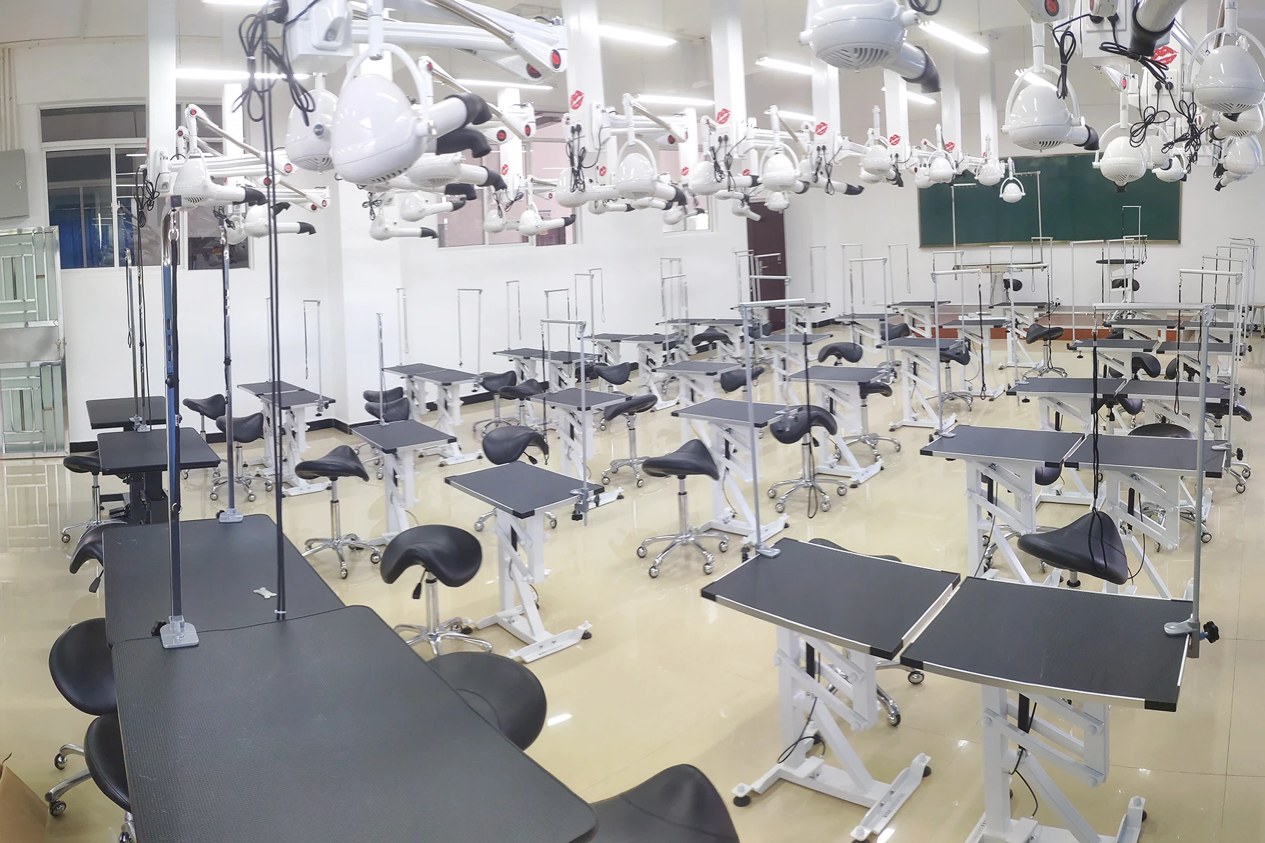 Rectangular Aluminum Composite Pet Salon Pneumatic Lifting Table Wholesale Price Waterproof Pet Grooming Table