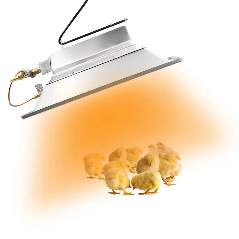 

Poultry Farms Manual Ignition Piglet Radiant Gas Brooder Infrared Breeding Brooder Chicken Gas Brooder