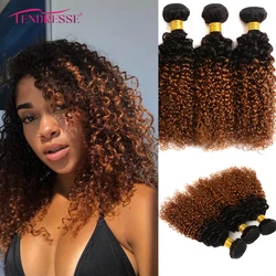 Tendresse 10A Ombre Curly Human Hair 3 Bundles 100% Mongolian Curly Hair Bundles 300 Gram Soft Remy Jerry Curly Hair Extensions