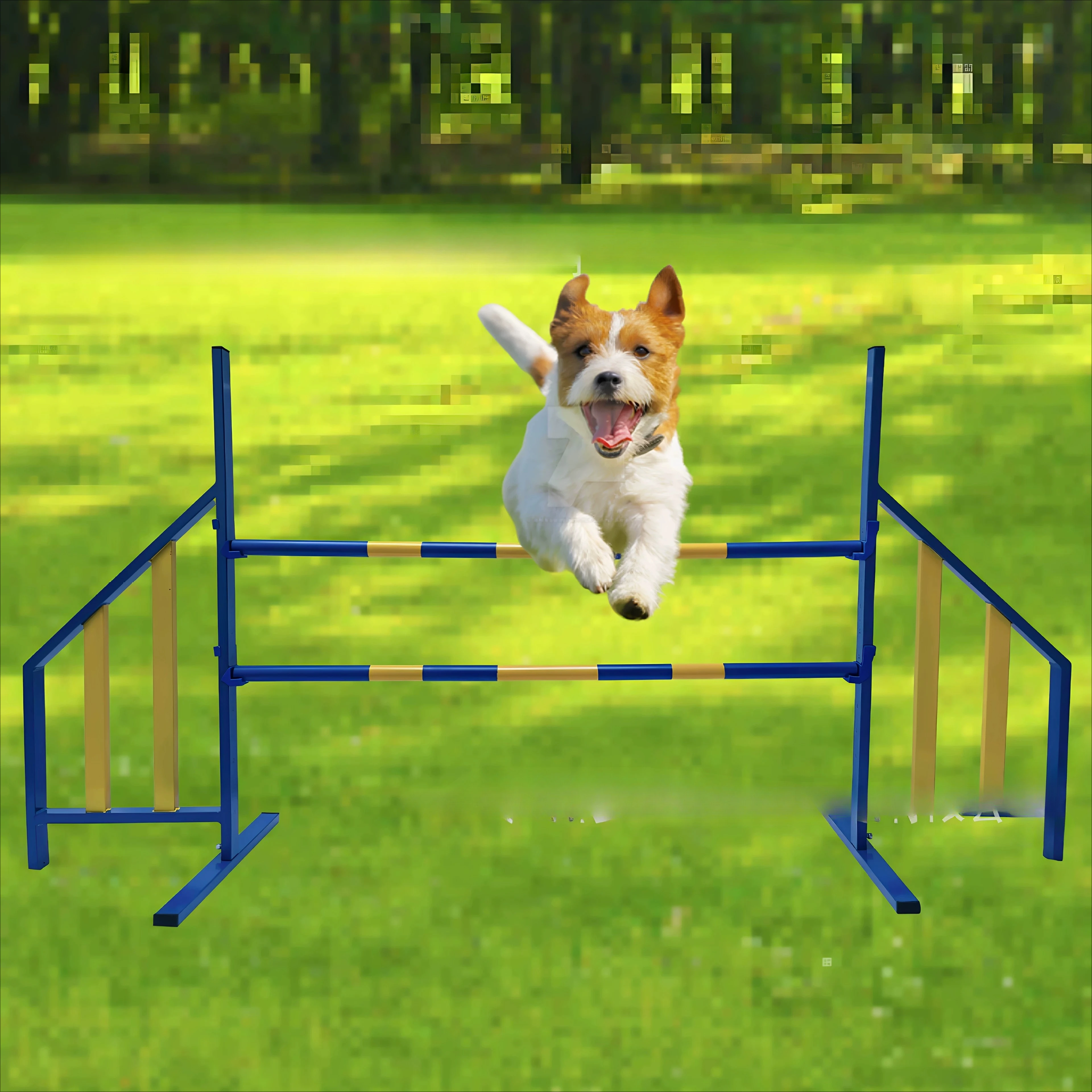 Pet Hurdle International Agility Level Pet Dog Up and Down Obstacle R Competition