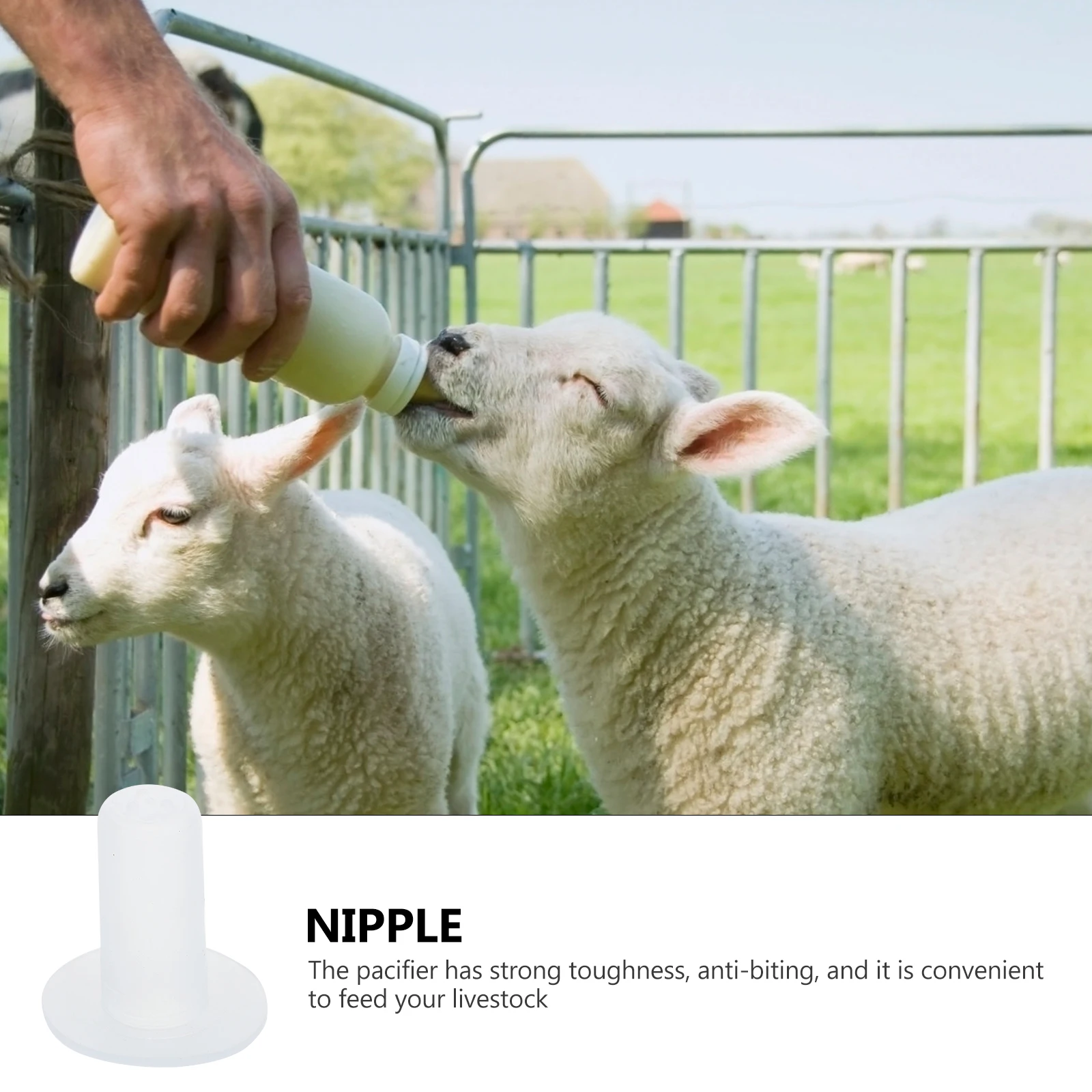 

10 шт., соска для бутылочки для кормления, силиконовая кормушка для молока для животных, ягненок, овца, теленка, поросенок, соска, аксессуар для кормления скота