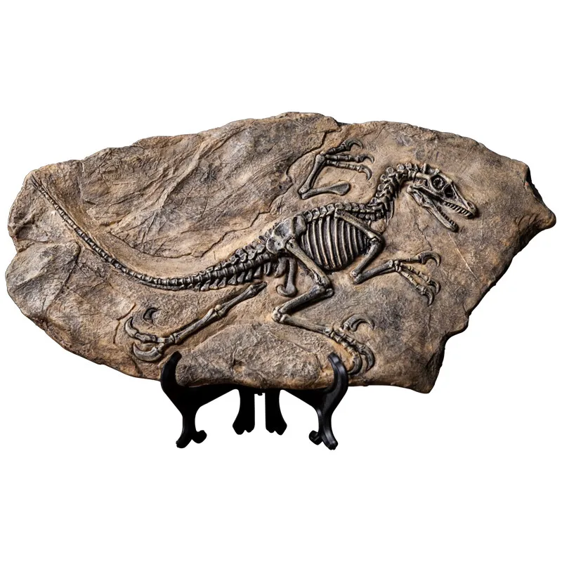 Vintage Dinosaur Fossil Model Realistic Tyrannosaurus Rex Specimen Craft Ornament for Home Office Desktop Decor