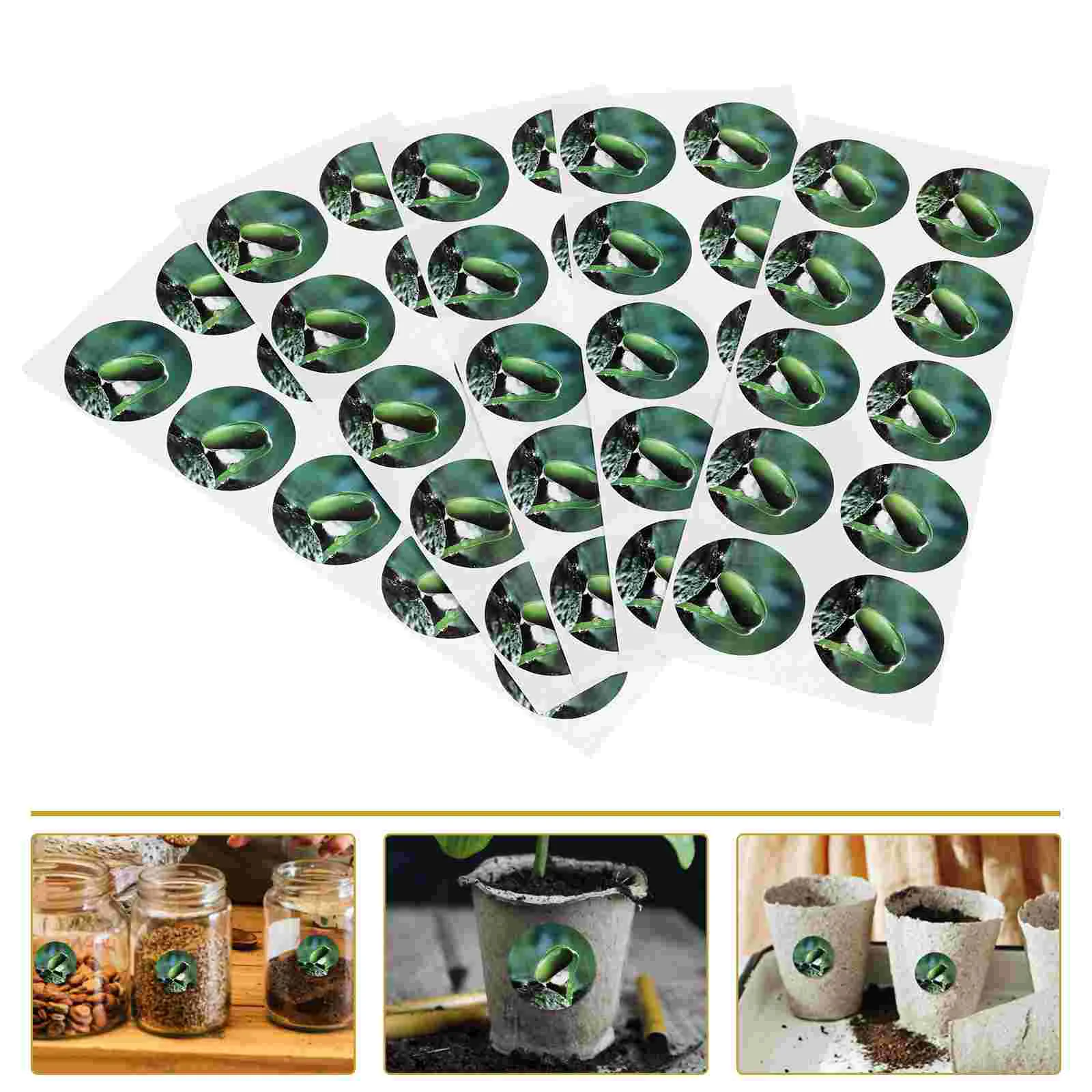 5 Sheets Self-adhesive Label Pot Stickers Seed PVC Labels Hydroponics Grow Plant Plants