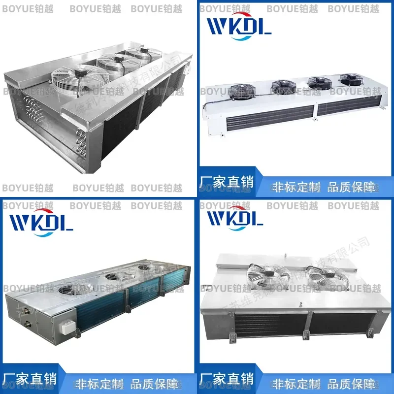 Stainless Steel Double Air Outlet Cooler for Food Medicine Cold Storage Industrial Refrigeration Unit Efficient Cooling