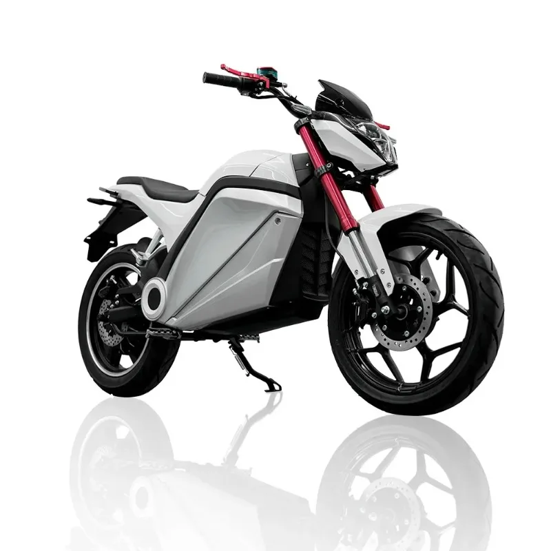 Luyuan 2026 Newest High-Speed Adult Electric Motorcycle, Long-Range & Smart - Affordable Premium E-Bike
