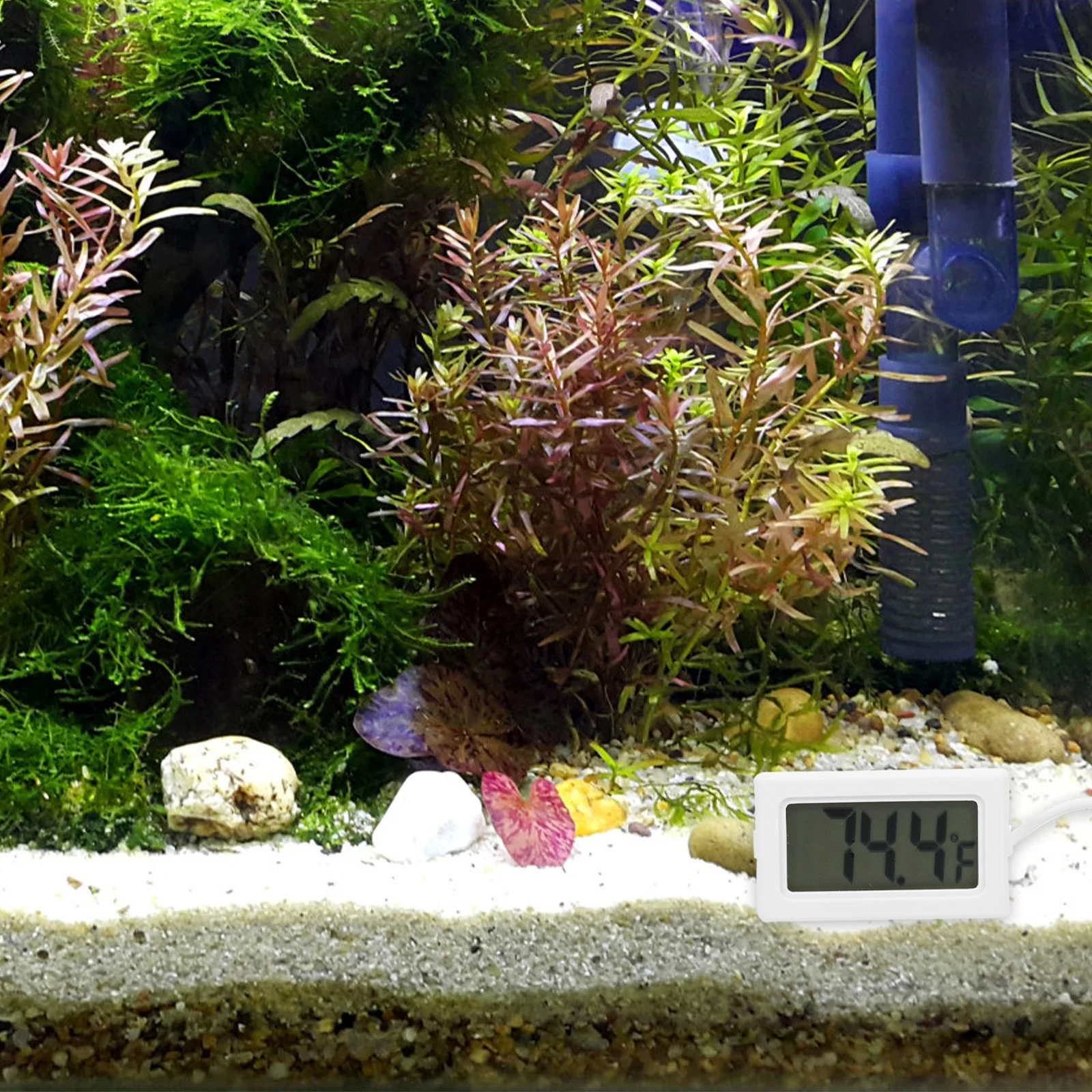 

4Pcs Professional Aquarium Thermometer Digital Waterproof Temperature Meter for Fish Tank Indoor White Aquarium Thermometer