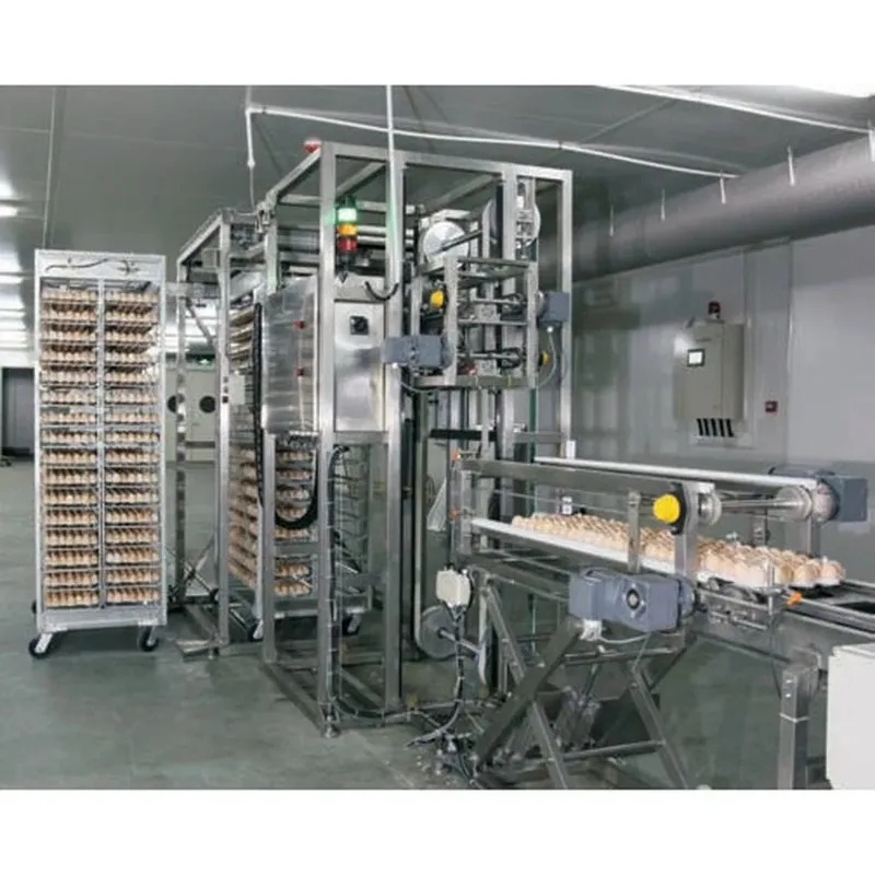 Customization Touchscreen Operation Fully Automatic Chicken Incubator and Hatchery Equipment for Hatching Laboratories