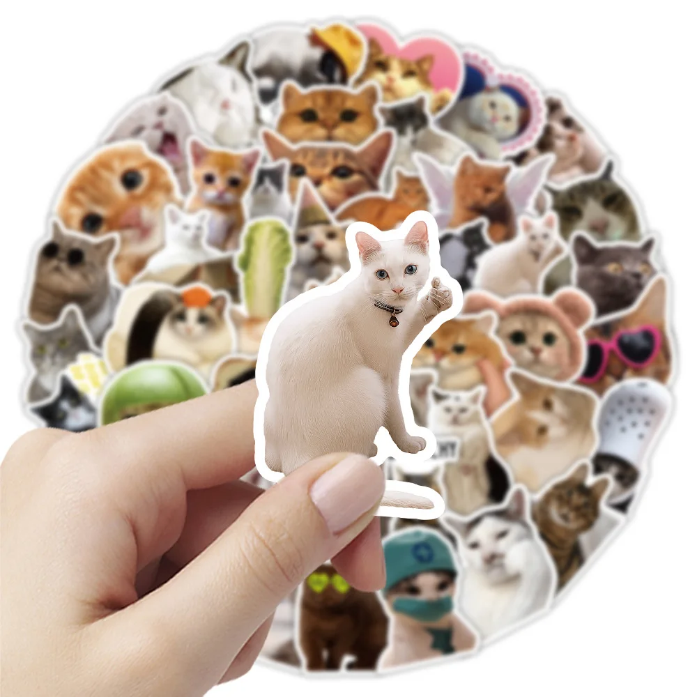 10/50PCS Cool Cat Graffiti Stickers Funny Cartoon Animals Fashion Sticker for Phone Computer Notebook Stationery DIY Toys Secret