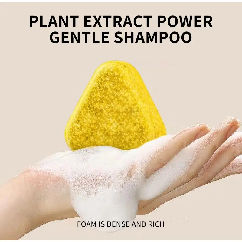 قالب شامبو الطب الصيني العشبي مع سالفيا ميلتيورهيز الزنجبيل الجينسنغ صابون الشعر الخالي من السيليكون للعناية بفروة الرأس والحكة والقشرة #2