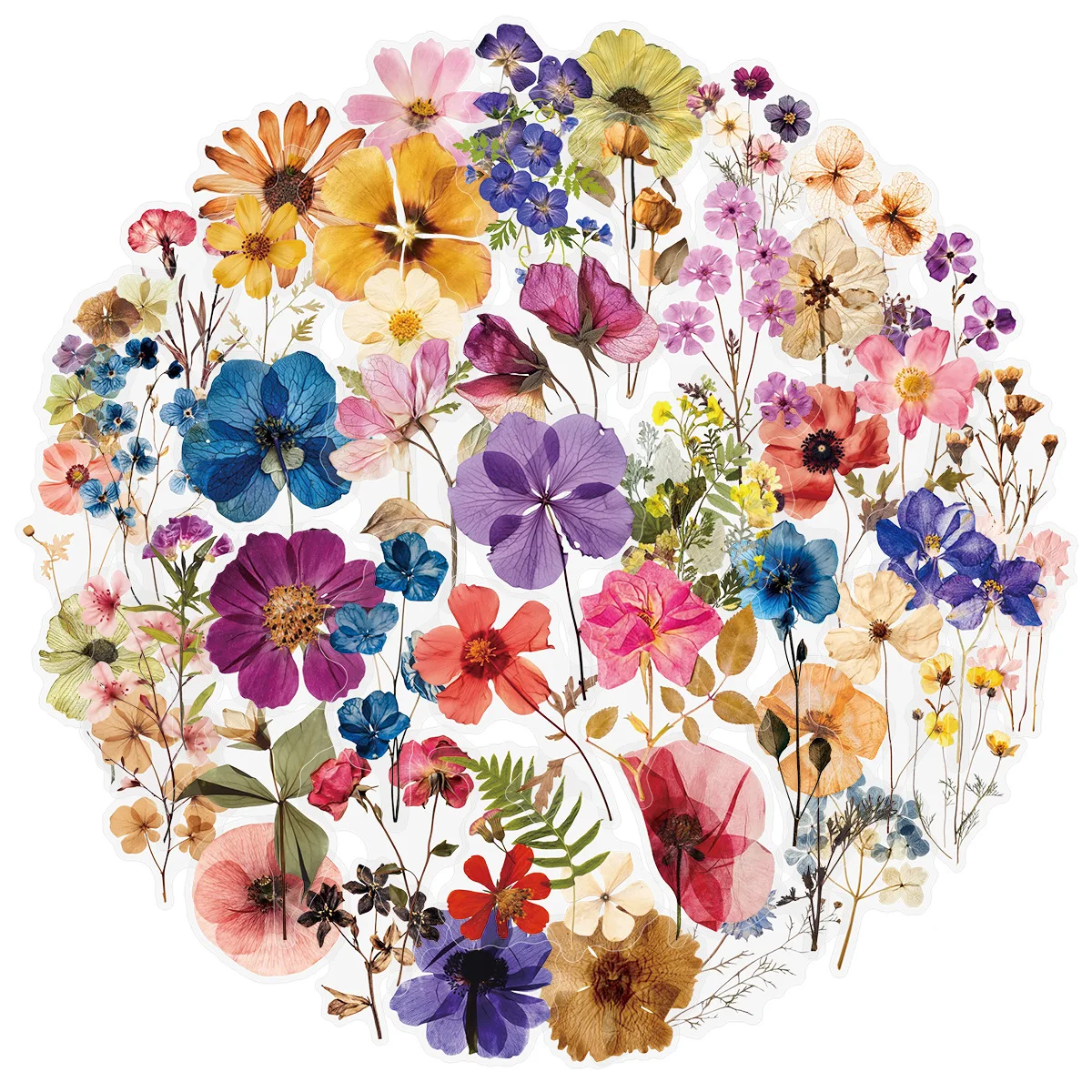 10/30/50Pcs Of Transparent Embossed Plant Material Stickers DIY Planner Books Notebooks Tablet  Phone Cases Decorations Toy Gift