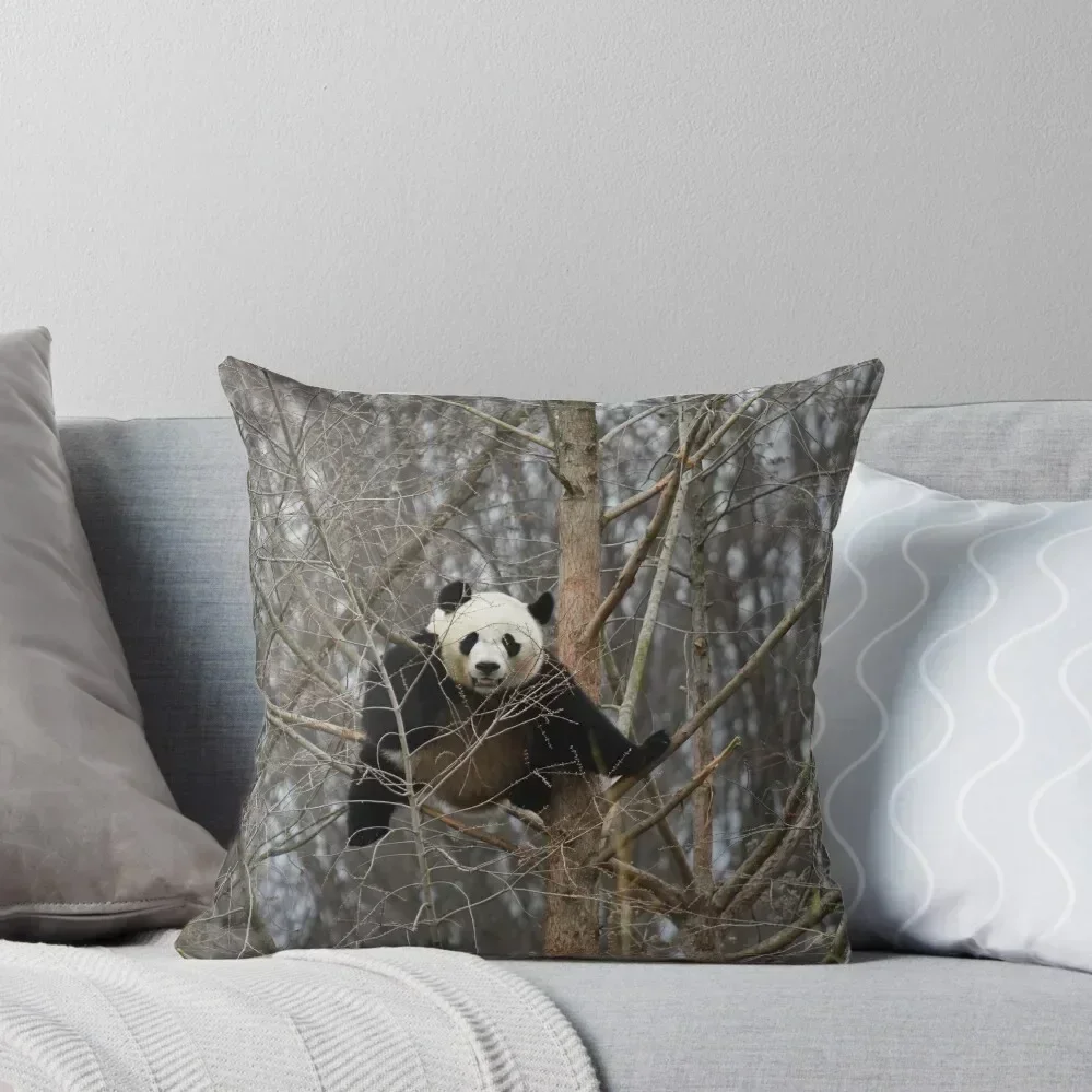 

Giant Panda Bei Bei at the National Zoo Throw Pillow Sofa Cushions Covers Cushion Covers For Living Room pillow