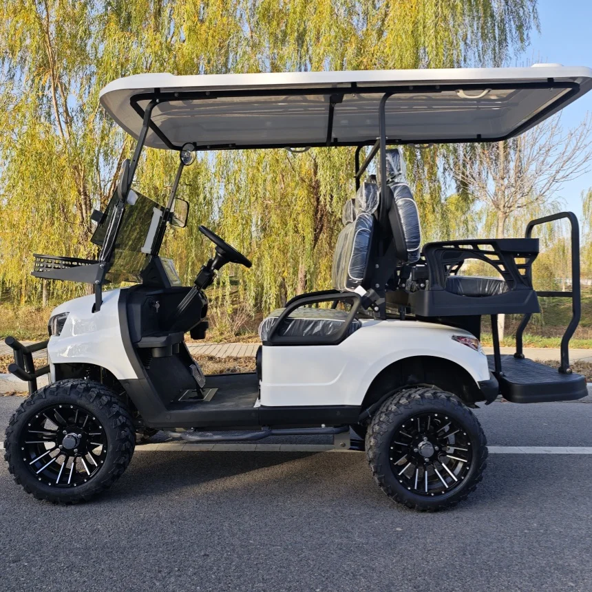 Factory Direct Sale Electric Four Wheel Vehicle 150W Solar Panel Powered With Folding Windshield Electric Golf Cart Model E