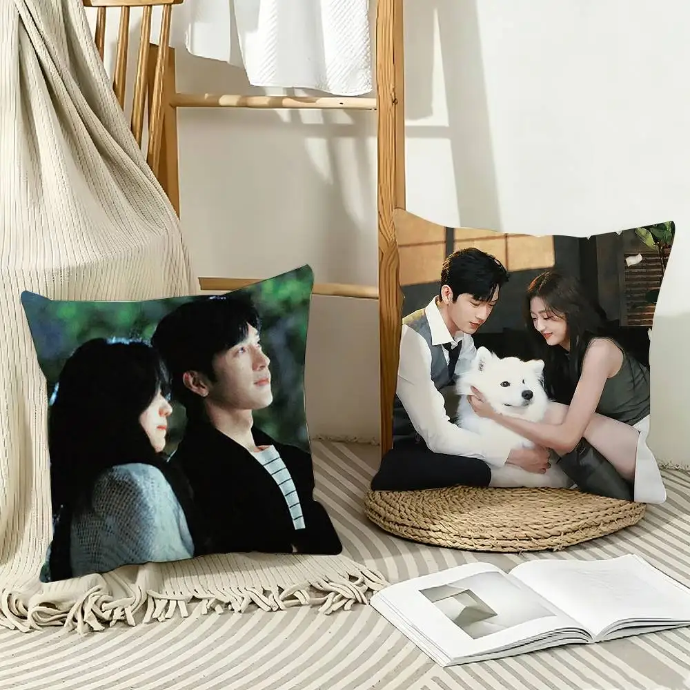 The Early Spring J-Jing Boran as Luan Nian Luke Pillow Case Pattern Printed Pillowcase For Living Room Sofa Cushion Cover