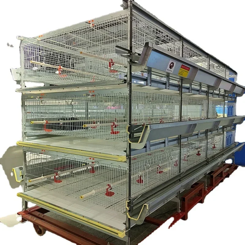 Design Commercial Broiler Chicken Cages For Sale/Chicken Meat Broiler Cages with Automatic Poultry Feeding