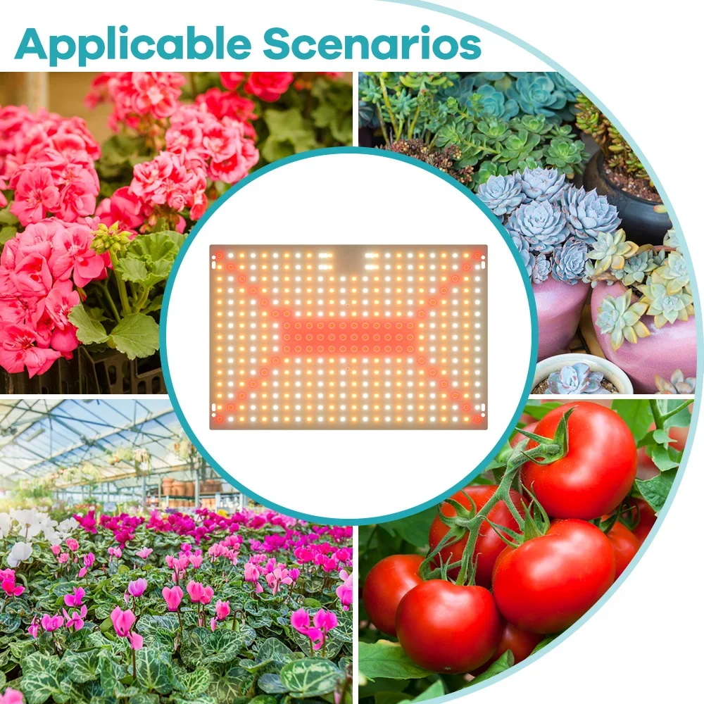 Quantum LED Grow Light 2000W Veg and Bloom Phytolamp, EU Plug, for Plant Full Spectrum Hydroponic Lamp Greenhouse Flower