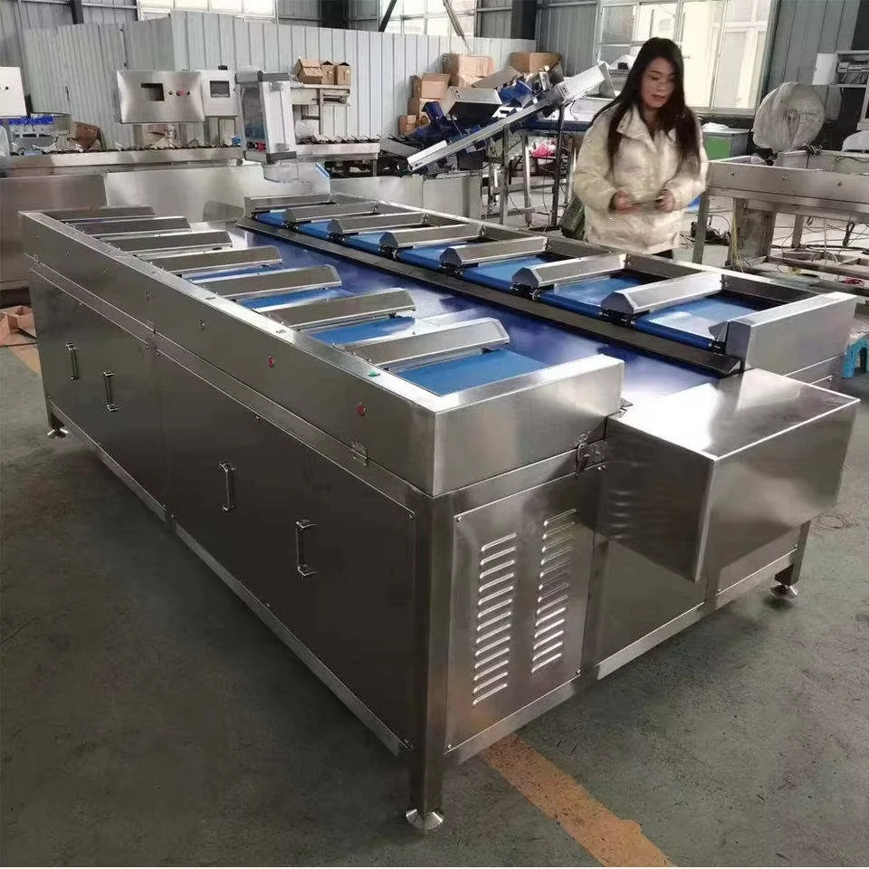 Automatic 12 Pallets Fruits Seafood and Beef Multi-station Checkweigher Electronic Scale for Combination System