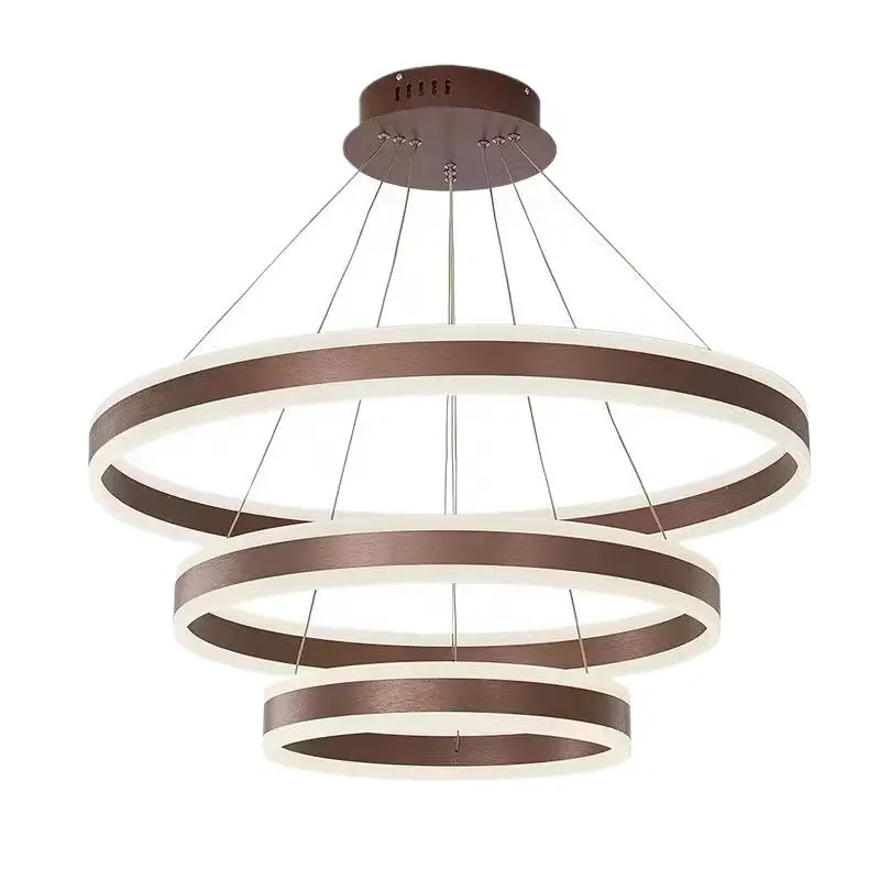 

Modern Round Ring Aluminum LED Acrylic Circular Cord ging Lights Composable Droplights Living Room Pendant Light