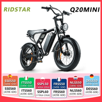 RIDSTAR Q20 MINI Electric Bike 20 Inch Fat Tire E-bike 48V 15Ah Adults Electric Mountain bike Ubran Commuting