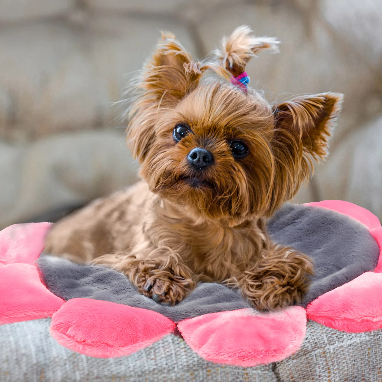 

Pet Mat Dog Bed Couch Cloth Pad for Puppies Comfortable Lightweight Flower Design Calming Crate Mat Warm Supple