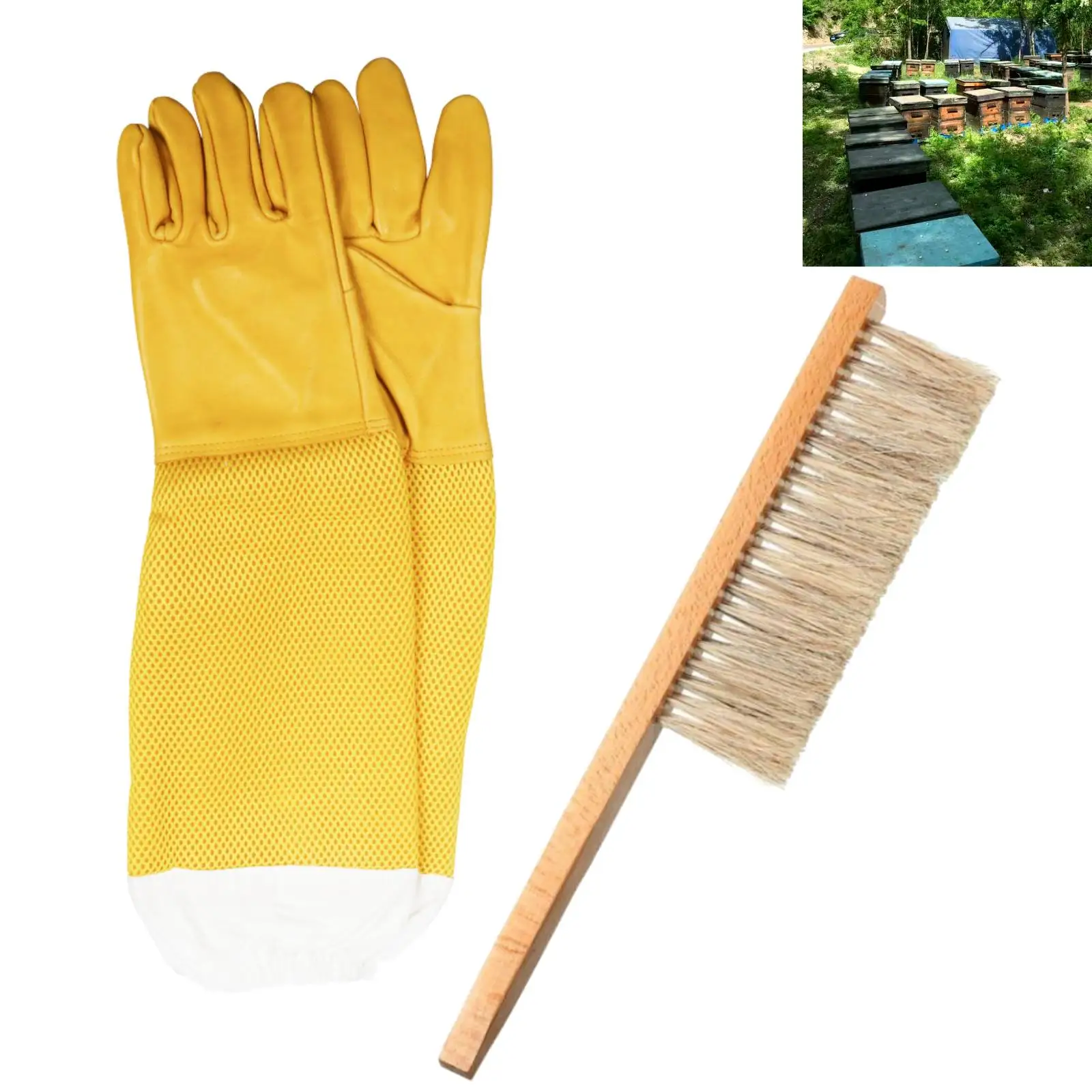 2-in-1 Beekeeping Supplies Set Beekeeping Tools Set with 2 Rows Bee Brush Beekeeping Tools Set
