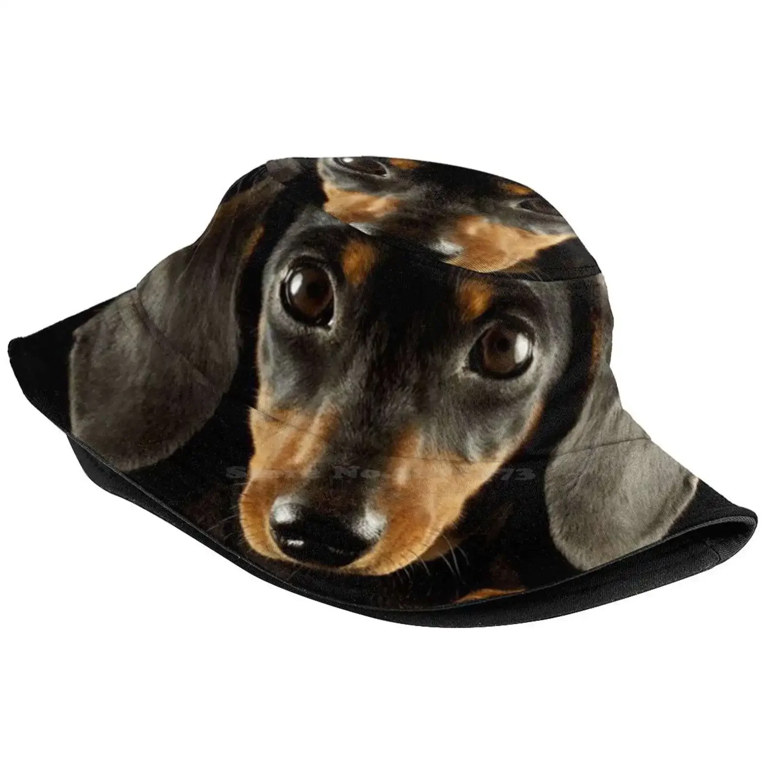 Dachshund Dog Photo Portrait Sun Cap Fisherman Hat Bucket Hats Dogs Pets Puppy Funny Animals Dachshunds Weiner Dog Wiener Dog