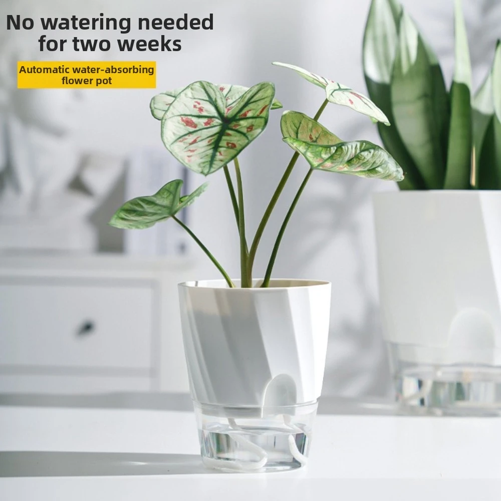 Fully Transparent Self Watering Planter Clear Design Self-Watering Automatic Watering Pot White Watering Container