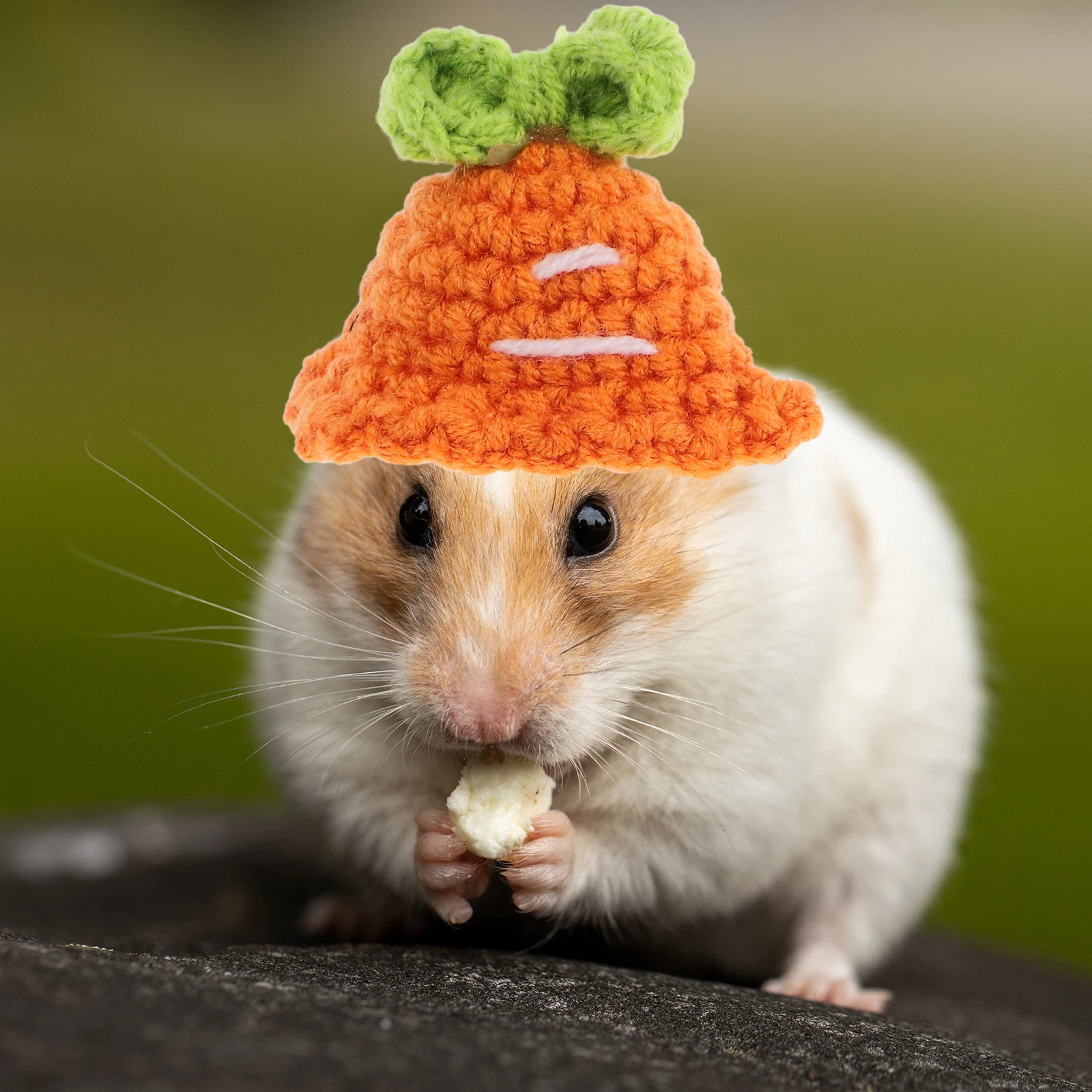 

Creative Knit Hat for Small Pets Hamster Guinea Pig Squirrel Decorative Wearable Cozy Safe Skin-Friendly Photo Props Party