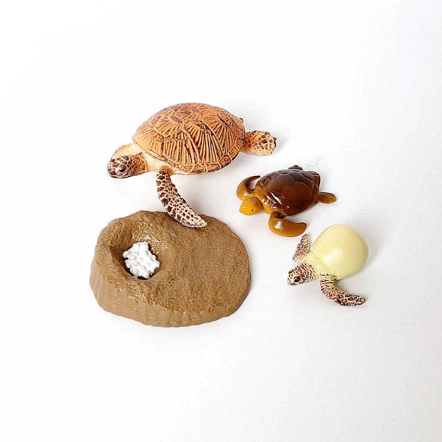 محاكاة ديناصور السحلية السلاحف ثعبان التمساح نمو دورة الحياة نموذج عمل الزواحف شخصيات حيوانات التعليم لعبة مصغرة