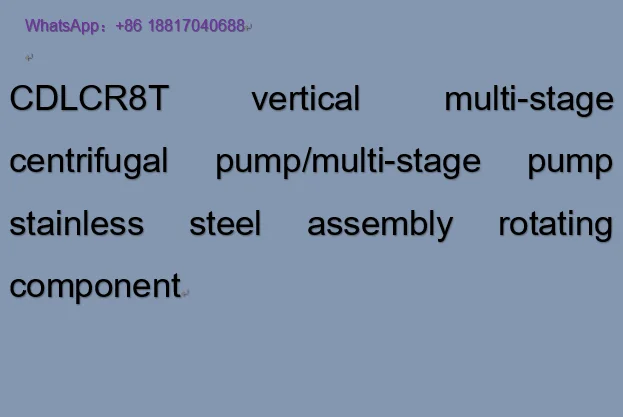 CDLCR8T vertical multi-stage centrifugal pump/multi-stage pump stainless steel assembly rotating component