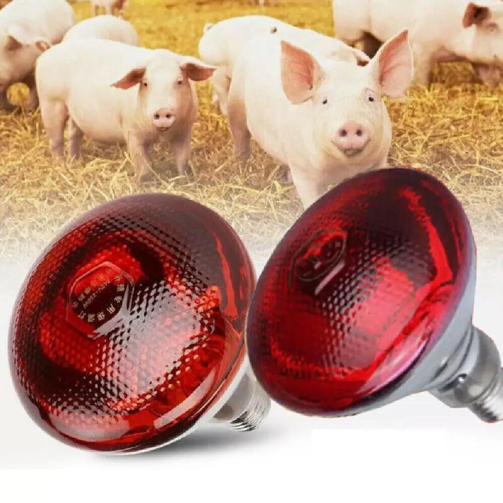 100W 150W 175W 200W 250W 275W Rote Wärmelampe für Tages- und Nachtnutzung für Amphibien, Schlangen, Reptilien, UV-Licht