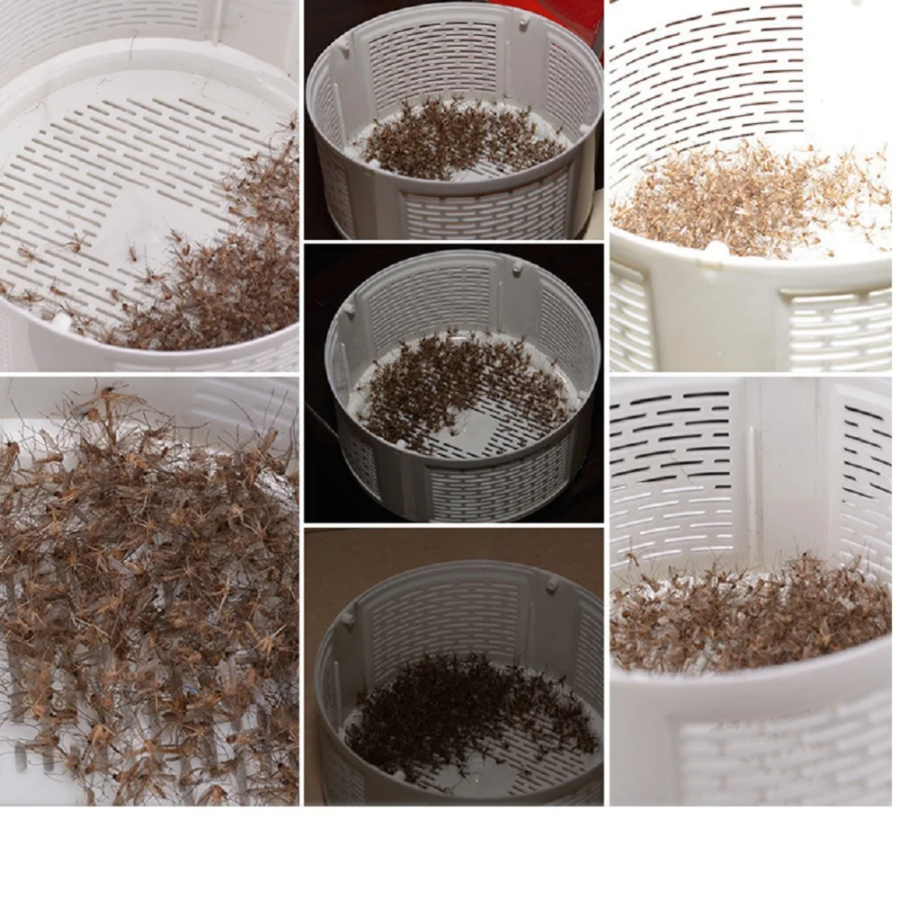 Рисунок 6 - Фотокаталитическая электрическая