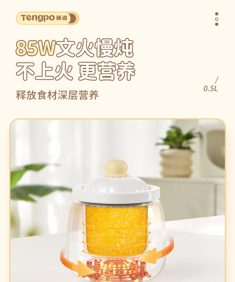 220V Tengpo Electric Baby Food Cooker Multi Function Steamer for Porridge Soup Rice DBW