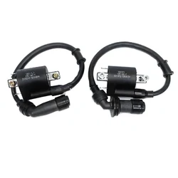 Motorcycle Ignition Coil Voltage For Benelli BJ125-3E BJ125-3 125cc TNT 125 135 QJIANG Left&Right Combination Spark cap