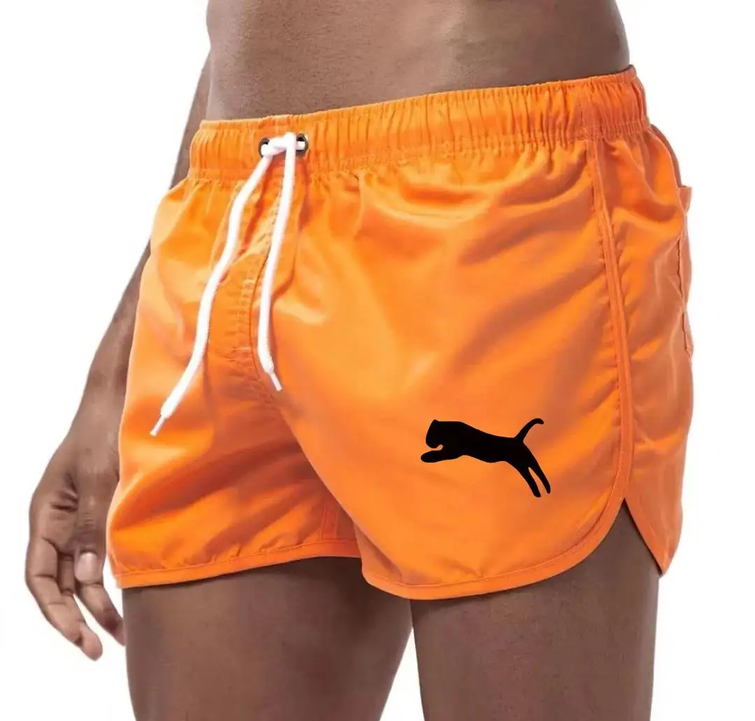 2026 Men's Beach Surfing Shorts Summer New Quick Drying Running Fashion Multi Color Sports