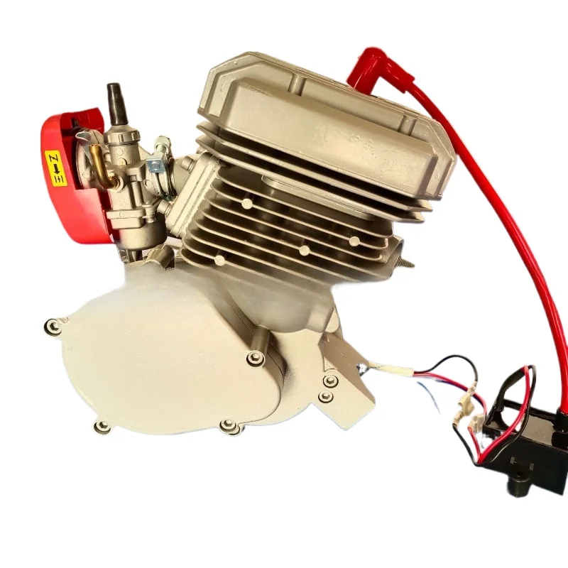 

Bicycle modified gasoline engine