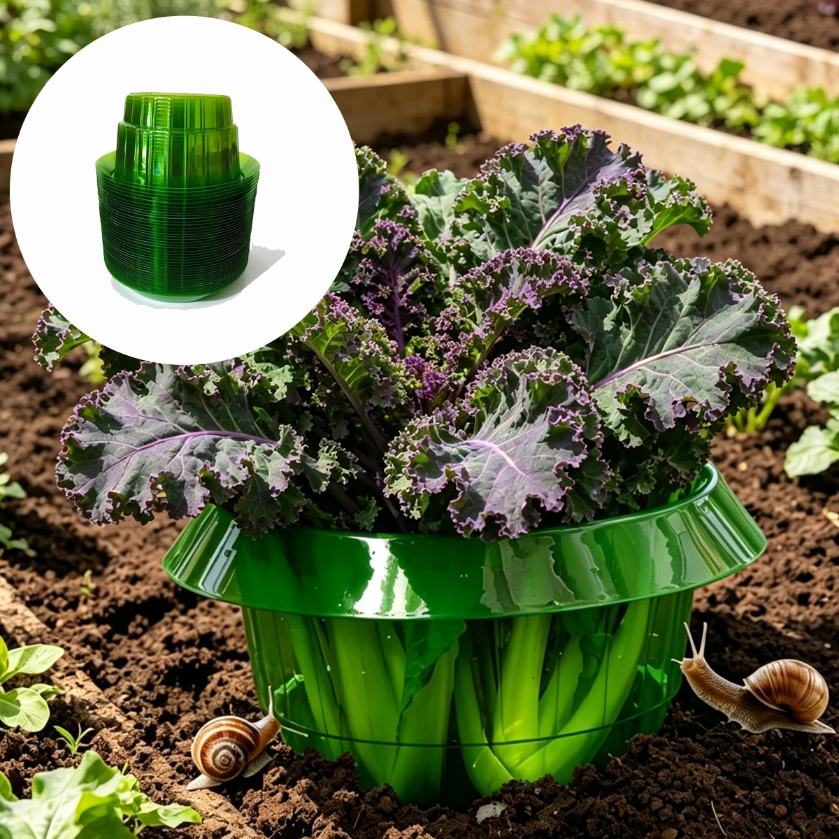 Plastic Snail Barrier Plant Seedling Protective Cover Greenhouse Collar Garden Greenhouses Hotbeds Accessories Green House Grow