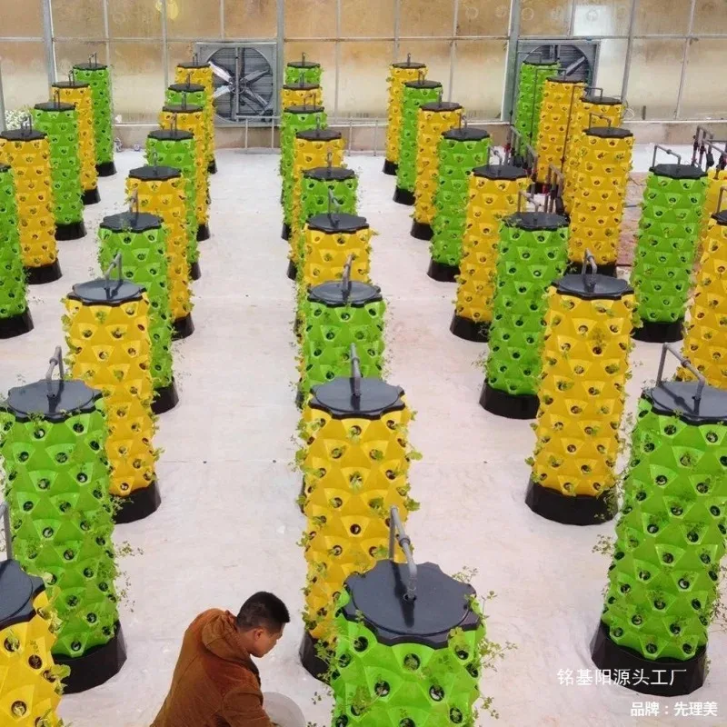 

Home-Grown Hydroponic Cultivation Automated 3D Greenhouse Facilities No-Soil Planting System for Indoor Gardening