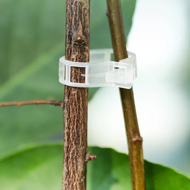 30/50/100/300PCS Climbing Plants Cucumbers Peppers Vegetables Tomato Clips Plant Clips Vines Plastic Trellis Clips Support Clips