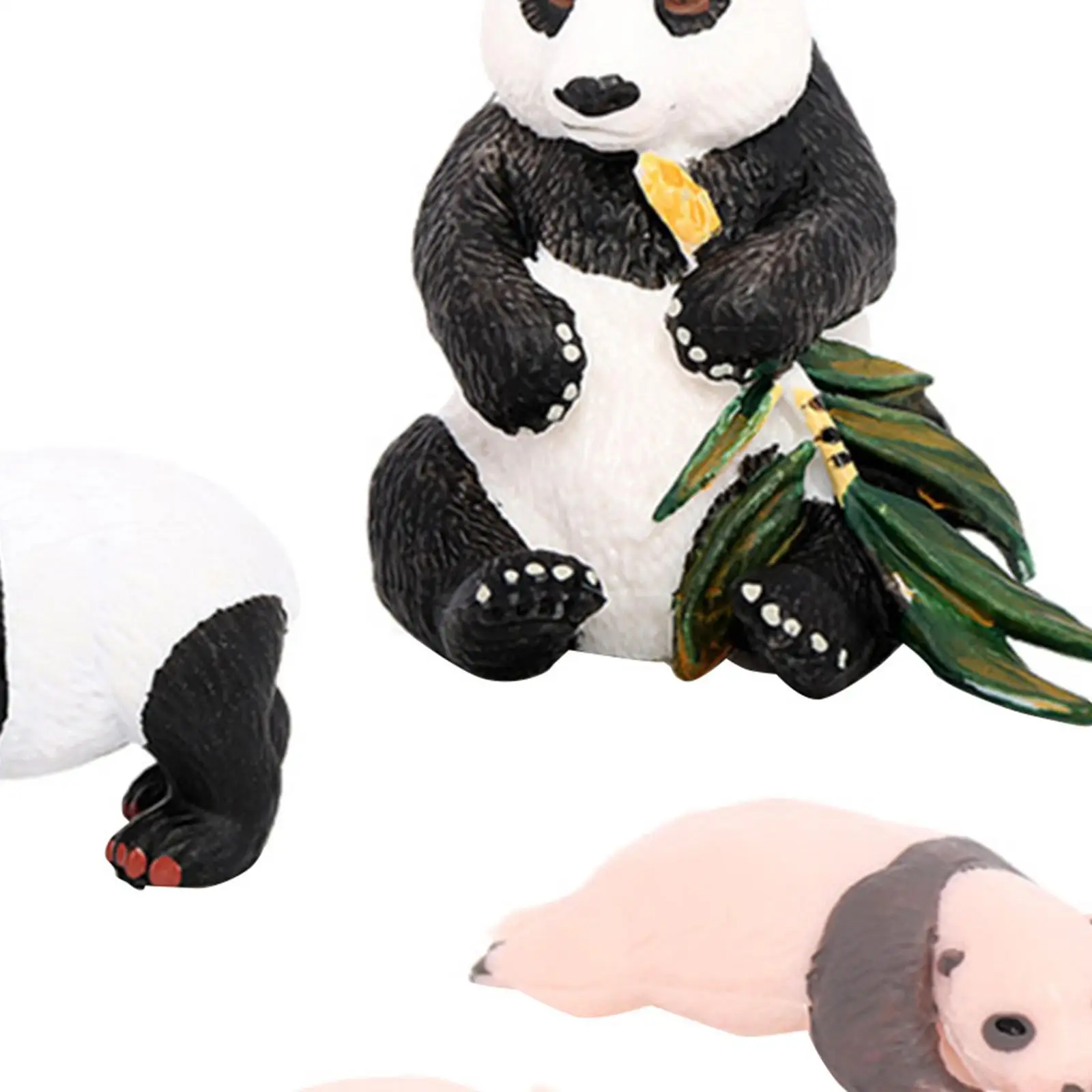 Panda modelo ciclo de vida animal brinquedos educativos, desktop partido, 4 partes