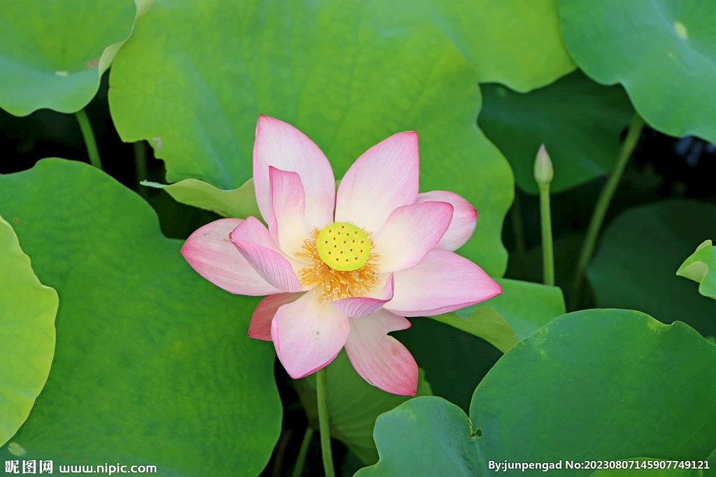 

4 шт. 1/24 FMS Power WAGON FCX24: Латунные противовесы для ступиц колес, запчасти для тюнинга радиоуправляемых машин