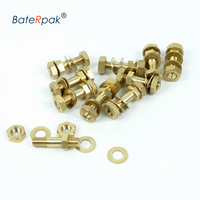 Vacuum Sealer Heat Sealing Bar Brass Screw,BateRpak Vacuum Sealing Machine Part Copper Split Screw,2pcs price