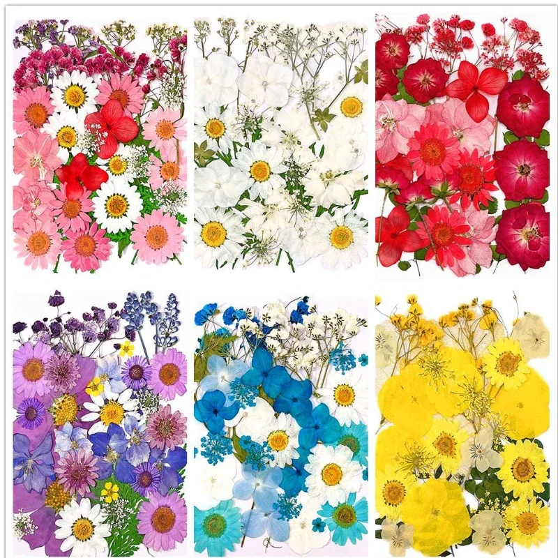 29-37pcs/bag,Pressed flower wholesale DIY photo frame bookmark glue dropping mobile case beauty makeup face decal group Contract