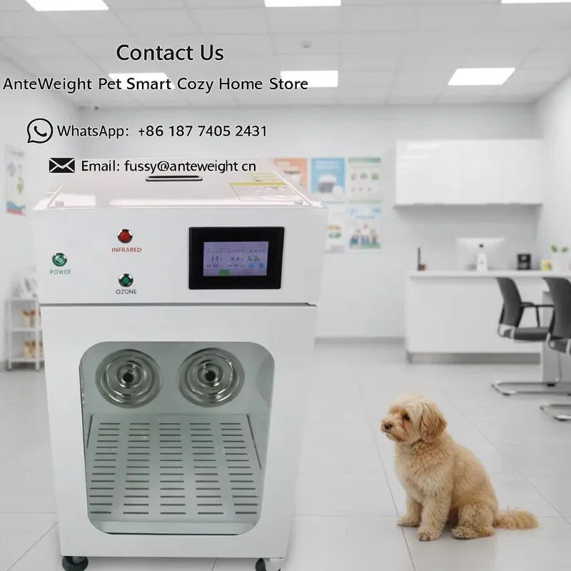 Veterinary Equipment New Design 1200W Automatic Pet Drying Room for Small Dog 5KG Cat