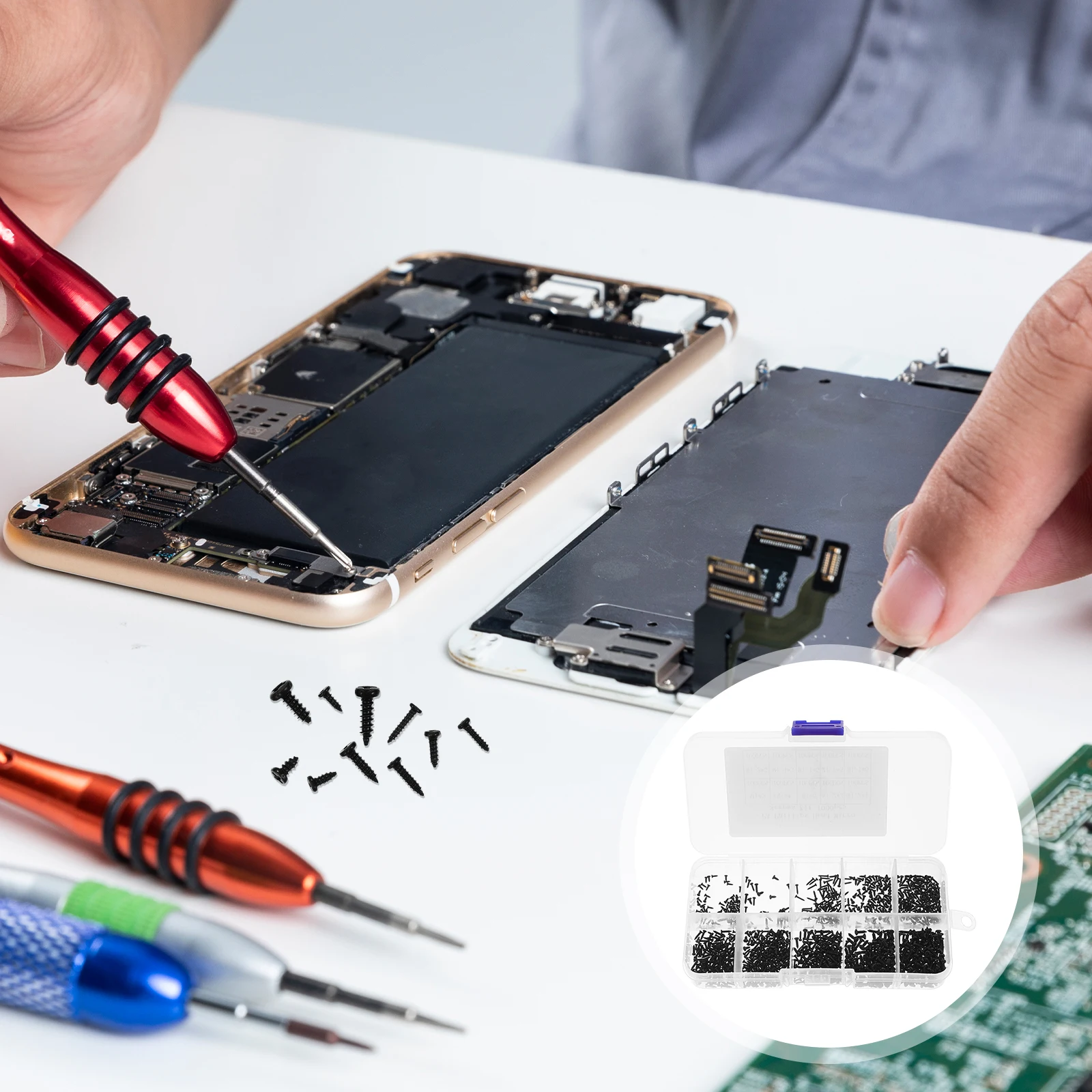 

1000pcs Round Head Self-Tapping Small Metal Set For Electronics Car Models Carbon Steel Screws Parts Boxed Screws Set