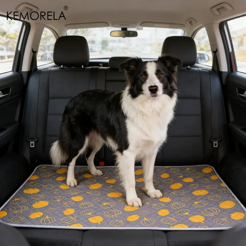 Thumbnail 3 - #83 Pet Training Pads List of Top Picks