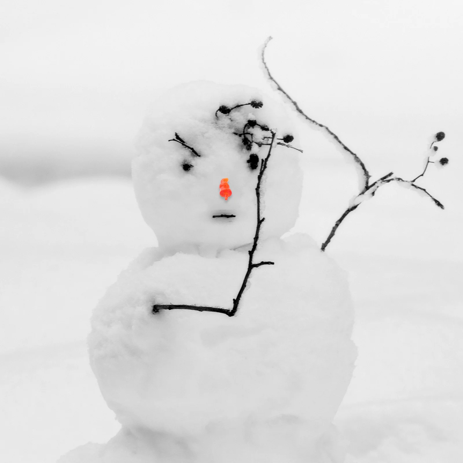 

100Pcs Snowman Nose Orange Plastic Carrot Replacement Parts for DIY Snowman Making Kit Christmas Craft Supplies Outdoor