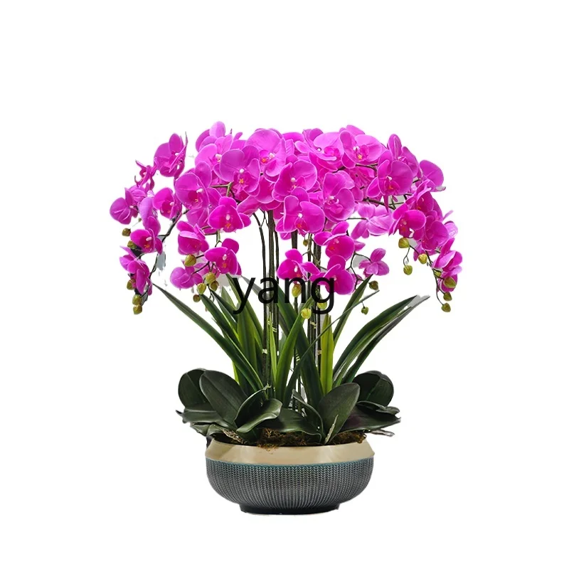 Yjq High-End Large Hand-Feeling Artificial Flower Phalaenopsis Indoor Living Room Front Desk Ornaments Bonsai