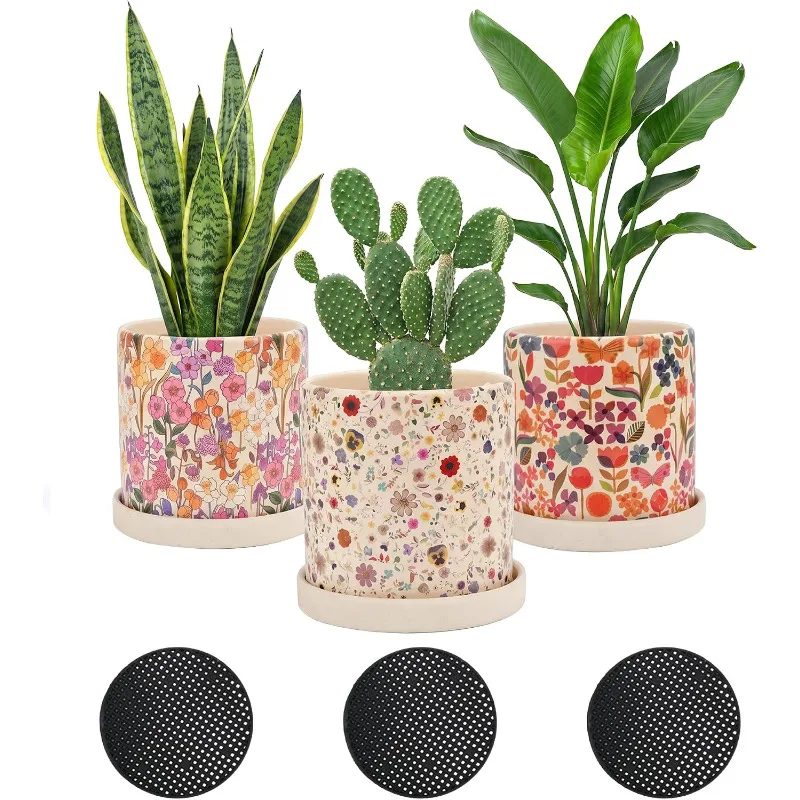 3 قطع من أواني الزراعة الخزفية - مراجعة Snake Plant Ceramic وسعره